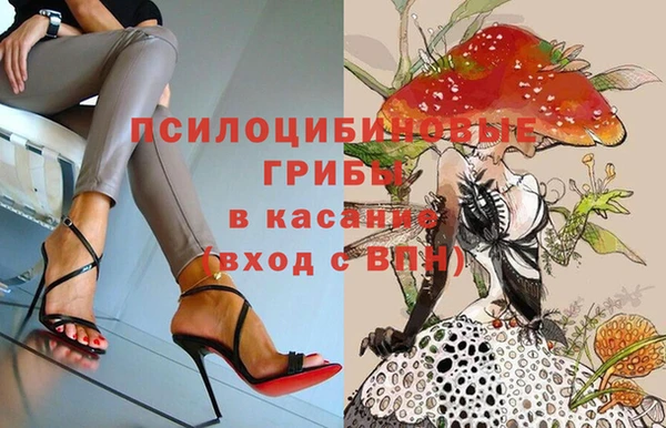 молекула духа Зерноград