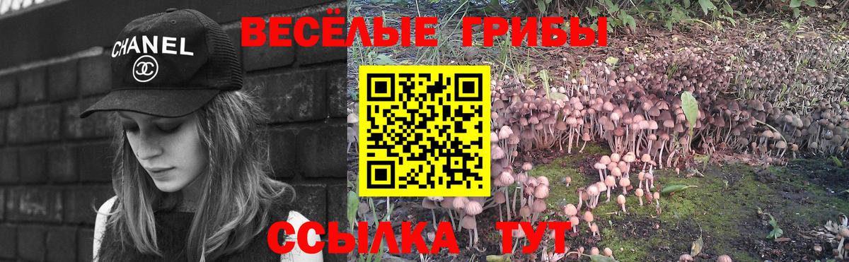 Псилоцибиновые грибы ЛСД  Солнечногорск  Псилоцибиновые грибы мицелий 