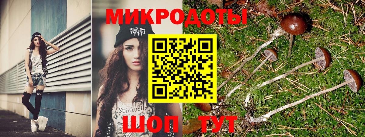 Псилоцибиновые грибы Magic Shrooms  Вход с VPN  Солнечногорск 