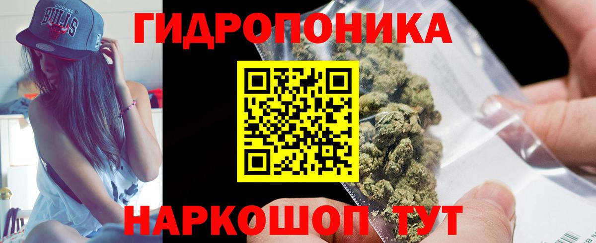 Солнечногорск  Канабис семена  Бошки Шишки Bruce Banner  Вход с VPN 